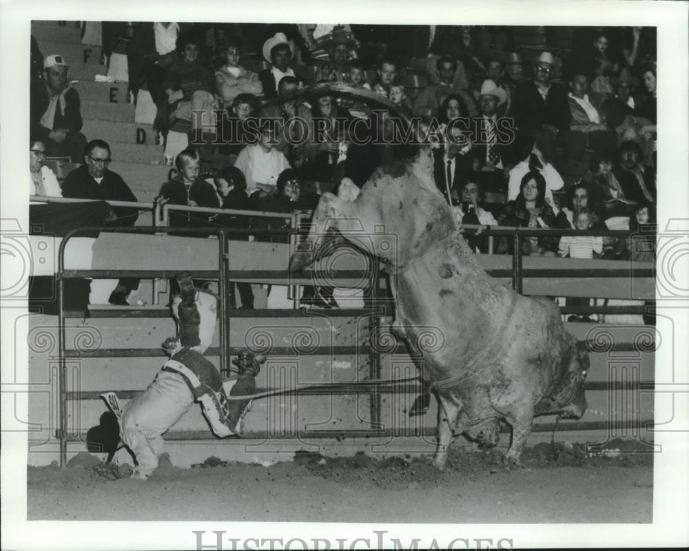 1987 Press Photo Bull Riding at Wonago Rodeo in State Fair Coliseum in Wisconsin - Historic Images