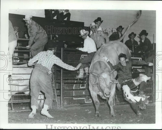 1987 Press Photo Bull riding cowboy falls at the Wonago Rodeo Wisconsin - Historic Images