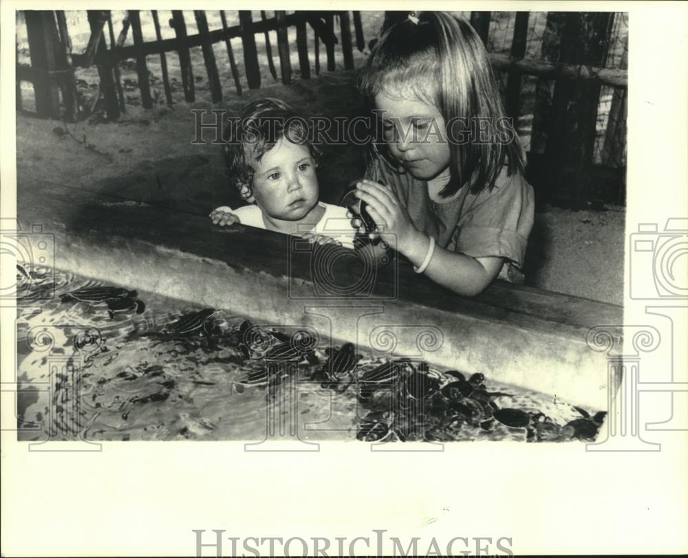 1987 Press Photo Hatchery visitors petted a young turtle in Sri Lanka - Historic Images