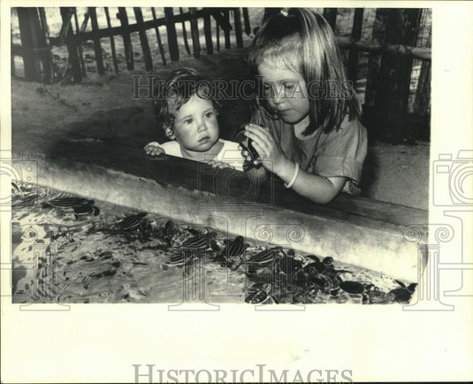 1987 Press Photo Hatchery visitors petted a young turtle in Sri Lanka - Historic Images