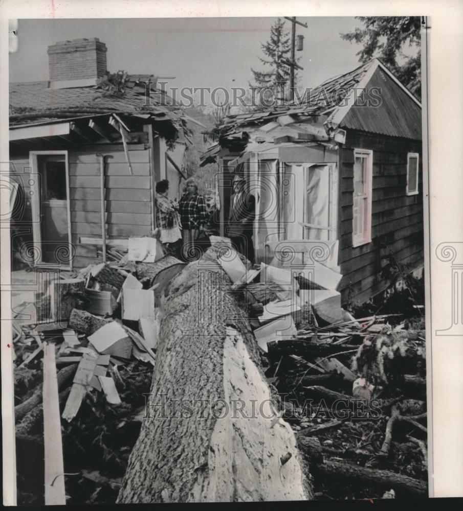 Press Photo Tree falls on Price home in Kelso, Washington during severe storm - Historic Images