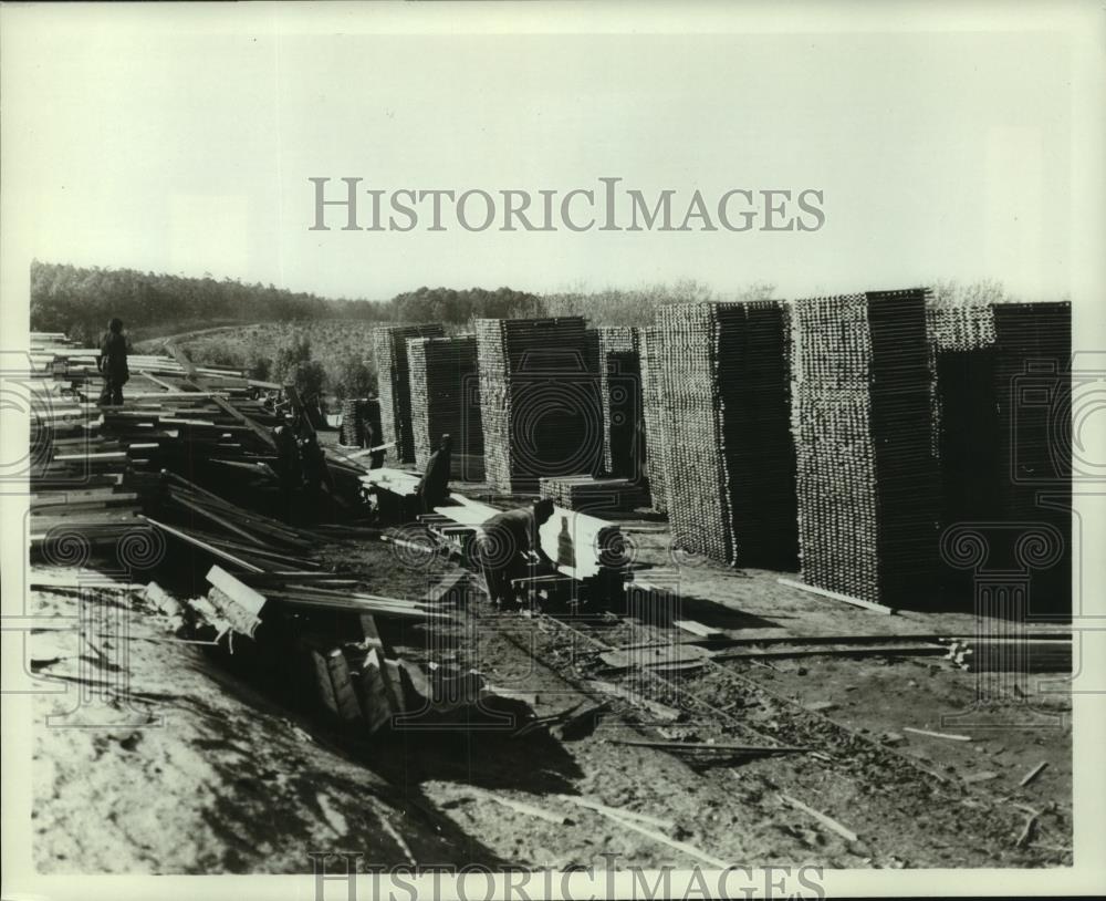 1985 Press Photo Timber for furniture making is an important Transkei industry. - Historic Images