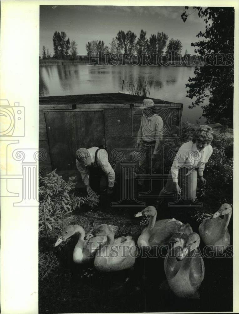 1993 Press Photo Mark Anderson, Sumner Matteson and others with swans at GE pond - Historic Images