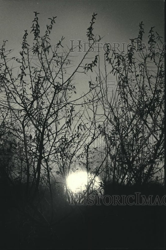 1987 Press Photo Sunset "Things to be thankful for" - mjc15486 - Historic Images