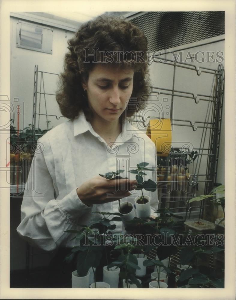 1989 Press Photo Jo Emily Handelsman, plant pathologist at UW-Madison, Wisconsin - Historic Images