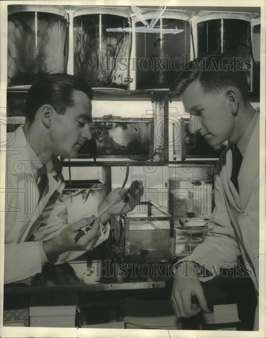 Press Photo Melbourne Carriker & Lemuel Fraser at University of Wisconsin lab - Historic Images