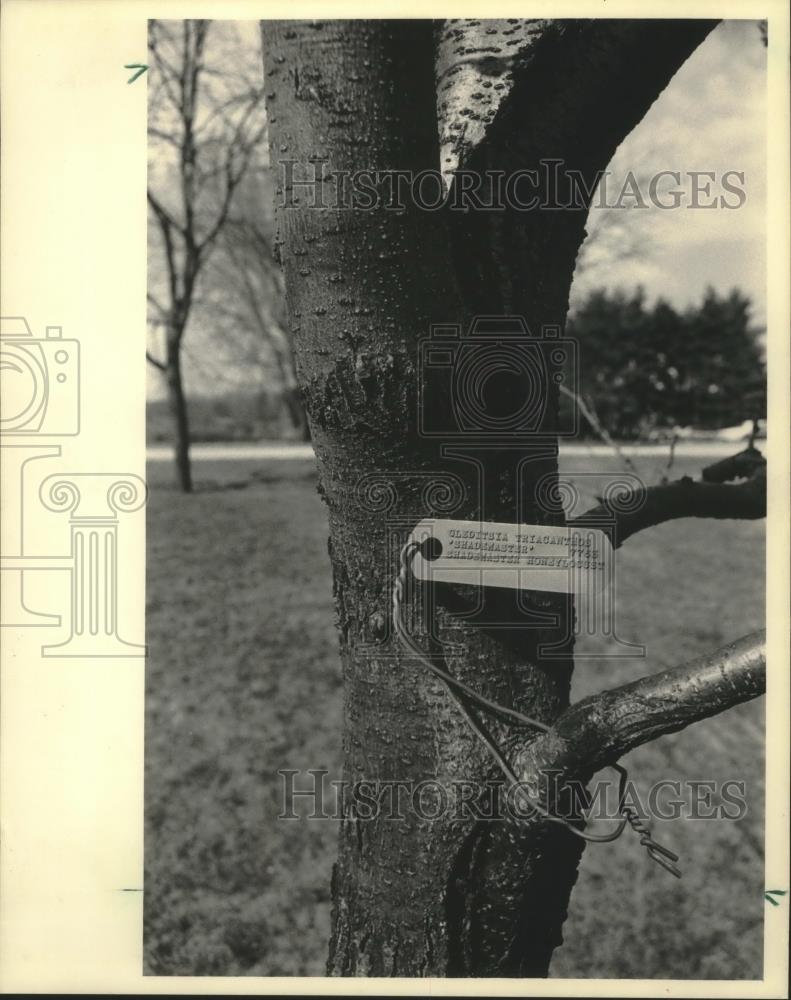 1986 Press Photo Metal tags identify botanical species in University of WI - Historic Images