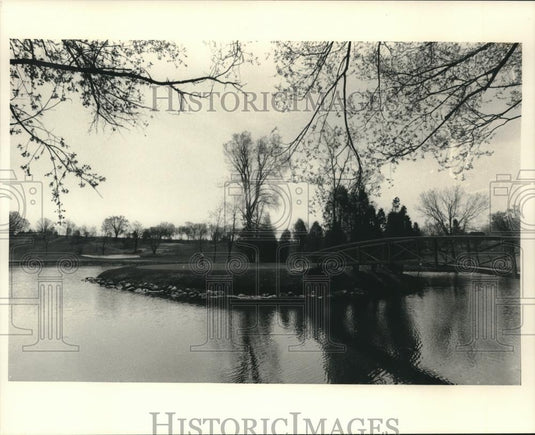 1986 Press Photo The Island Hole, No. 17 on the new Silver Spring Country Club - Historic Images
