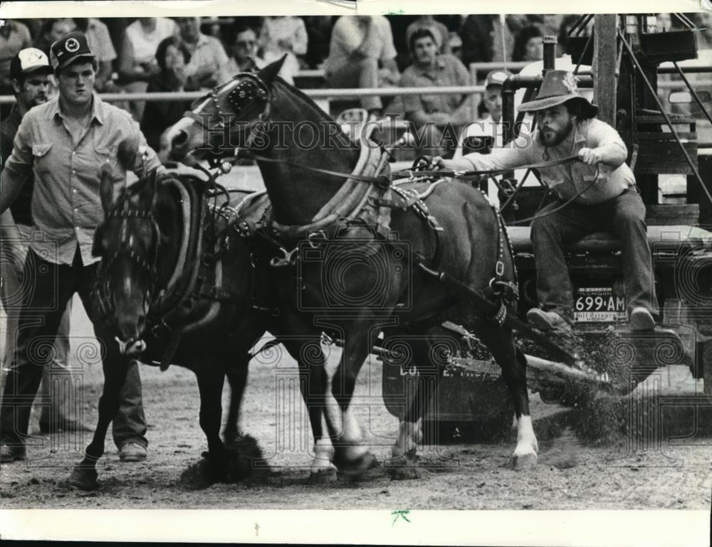 1982 Press Photo Jim Neuberg&#39;s Pony Team Tries To Pull More Than 1,000 Pounds - Historic Images