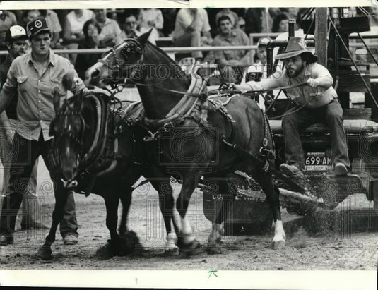 1982 Press Photo Jim Neuberg's Pony Team Tries To Pull More Than 1,000 Pounds - Historic Images