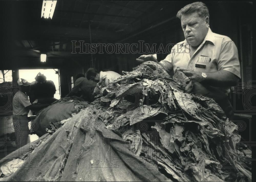 1986 Press Photo USDA Tobacco grader, Julius Parker at Fuquay-Varina, N.C. Co-op - Historic Images