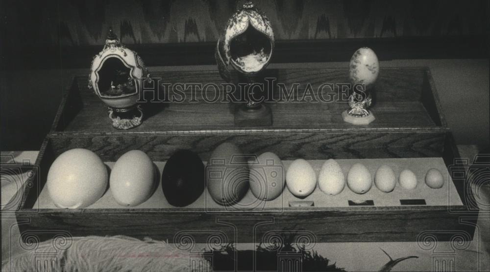 1989 Press Photo Eggs Carved By Milwaukee Artist Donna Marie Runge - mjc21201 - Historic Images