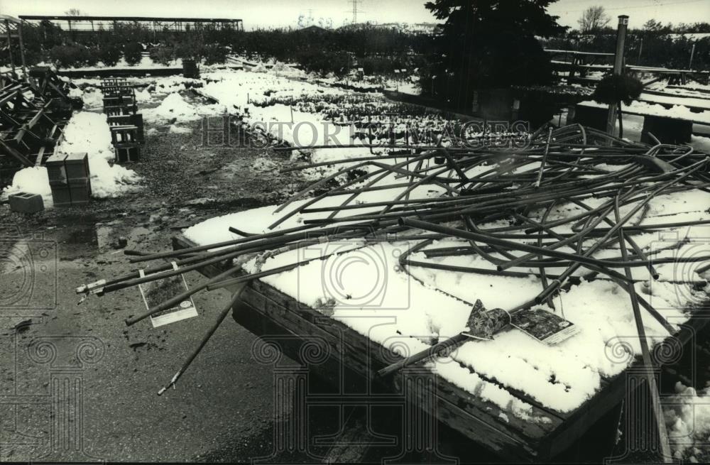 1990 Press Photo Heavy snow collapsed a shade roof at Lied&#39;s nursery near Sussex - Historic Images