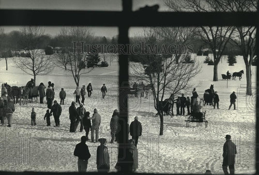 1991 Press Photo The 14th Annual Winter Horse-drawn Vehicle Rally, Madison. - Historic Images