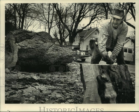 1992 Press Photo Mike Williams Chops Apart Maple Tree In Wisconsin - mjc21720 - Historic Images