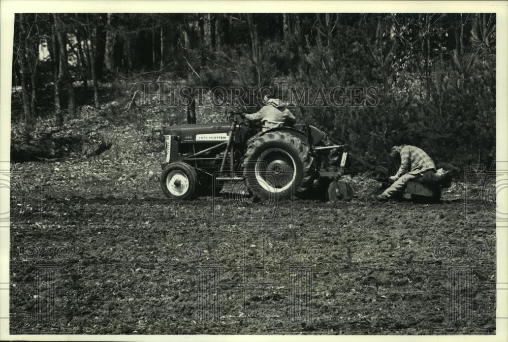 1992 Press Photo Planting Scotch pine seedlings on Soper's Farm in Wisconsin - Historic Images