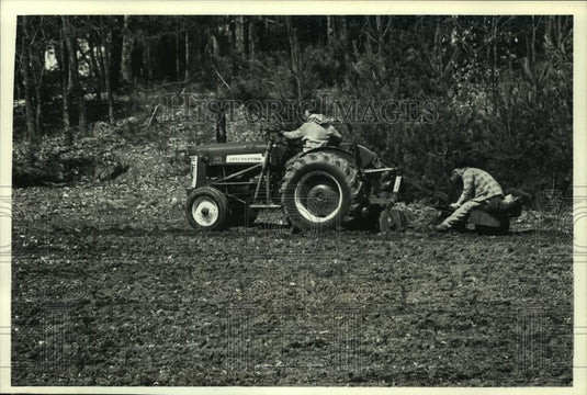 1992 Press Photo Planting Scotch pine seedlings on Soper's Farm in Wisconsin - Historic Images
