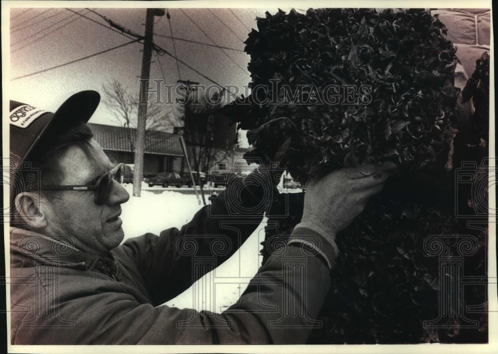 1993 Press Photo Tobacco Grower Ken Ruosch Checks His Truckload of Tobacco - Historic Images