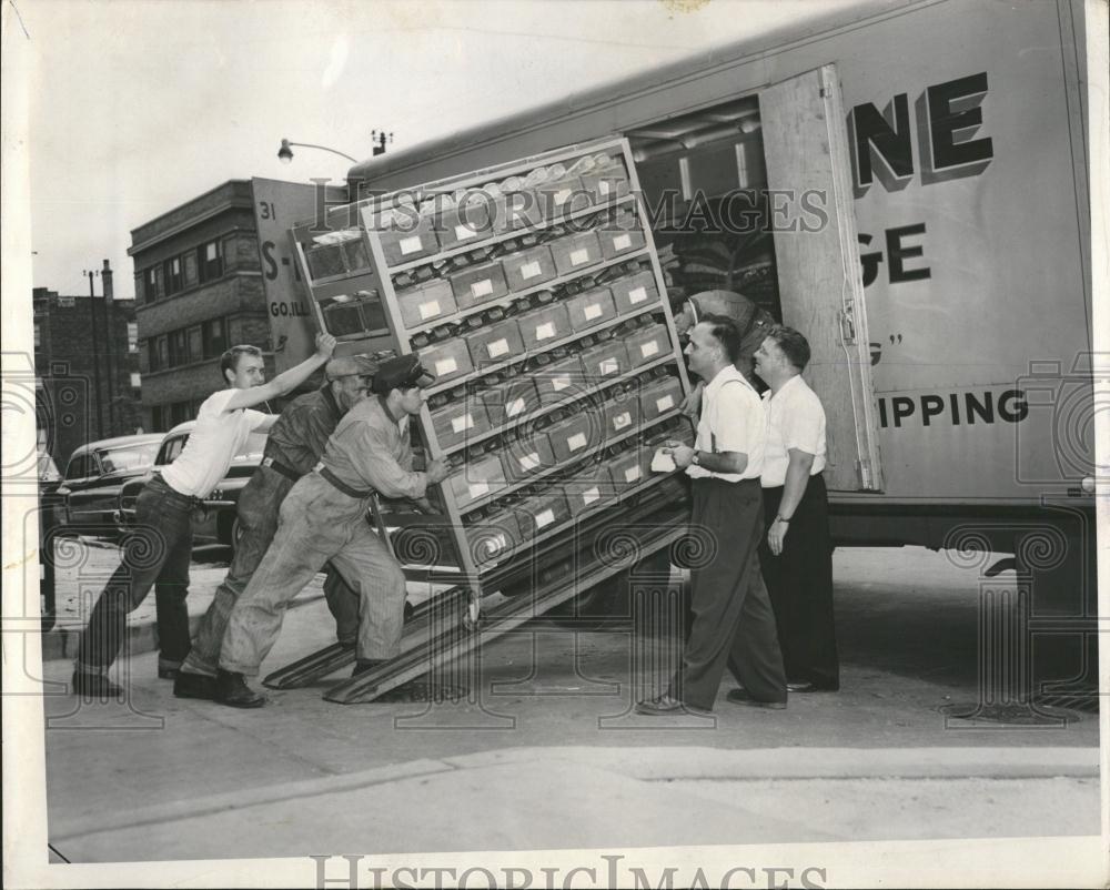 1954 Press Photo University Illinois Mice Texas Bound - RRV39721 - Historic Images