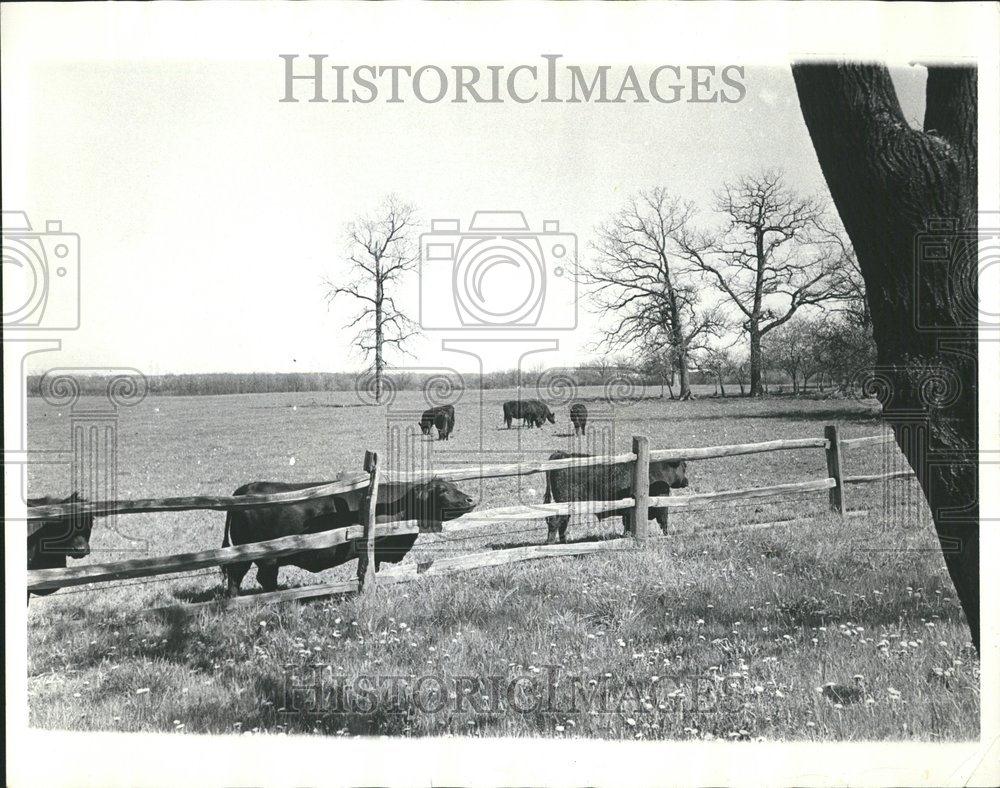 1985 Press Photo Lake County Farm Community Illinois - RRV67547 - Historic Images