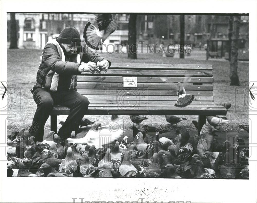 1983 Press Photo Man Feeding Pigeons Kern Block Detroit - RRV37227 - Historic Images