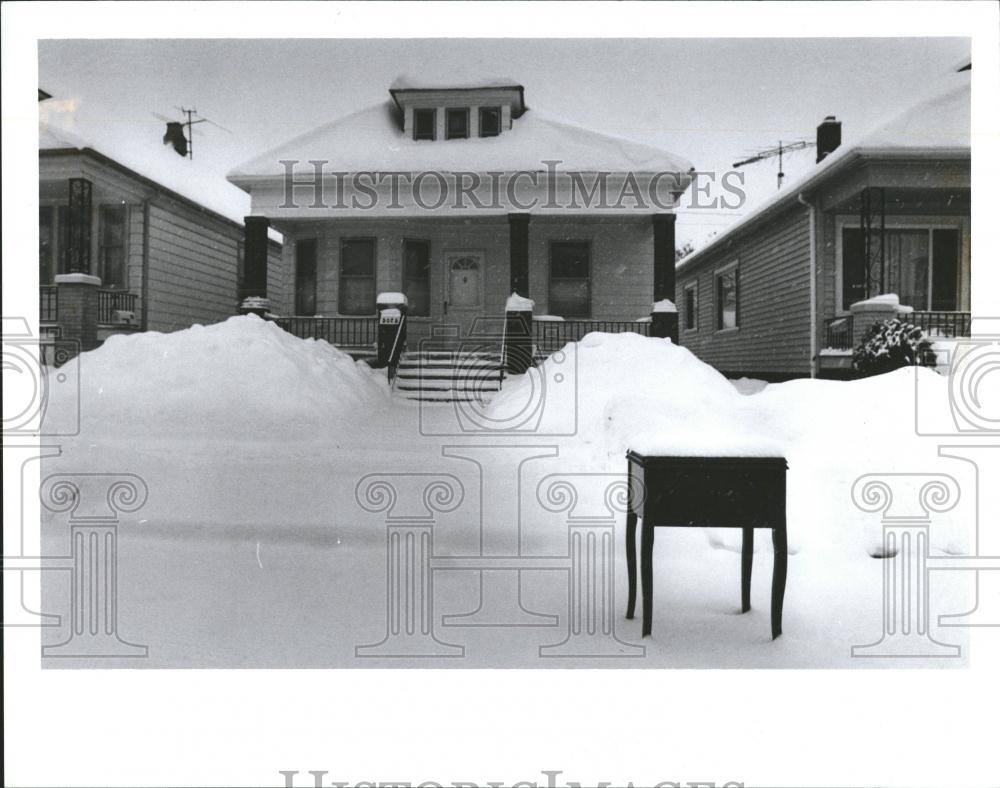 1992 Press Photo Hamtramck Gothic Snow Art - RRV39393 - Historic Images