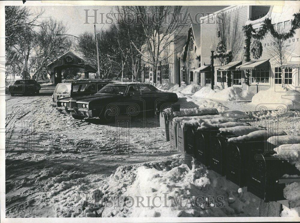 1973 Press Photo Bustic Lang Groove Christmas Card ILL - RRV66499 - Historic Images