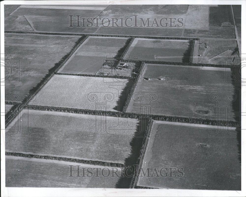 1963 Press Photo Aerial View Tree Lined Farm Fields - RRV71309 - Historic Images