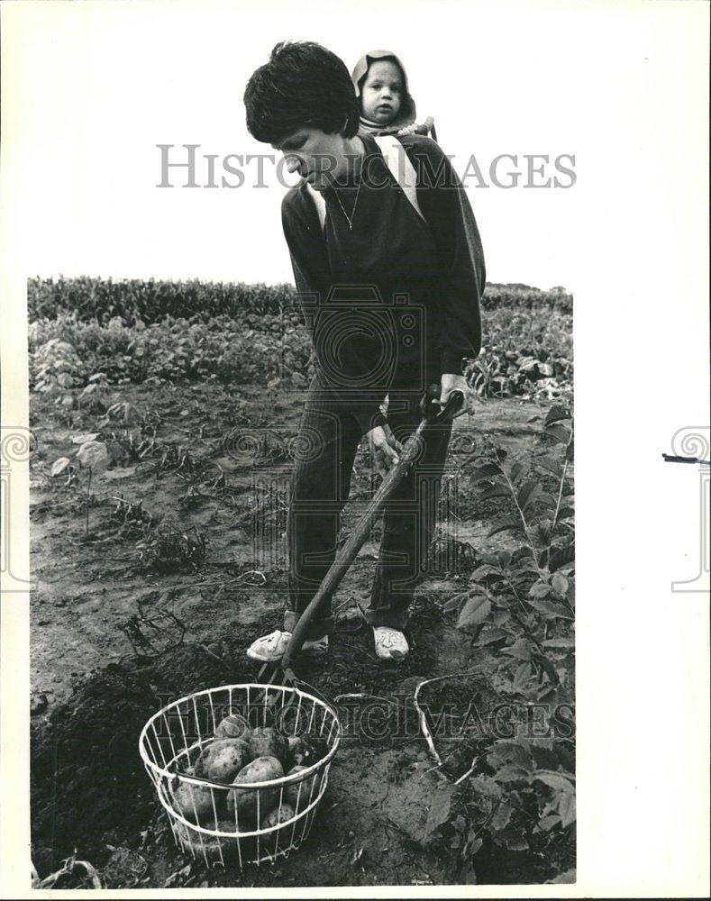 1985 Press Photo Anita Schroeder Digs Potatoes Farmers - RRV62327 - Historic Images