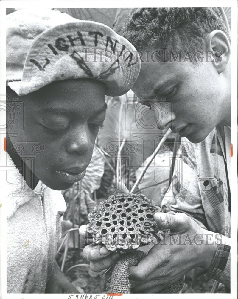 1963 Press Photo Lotus Pod Della Robbia Style Wreaths - RRV33741 - Historic Images