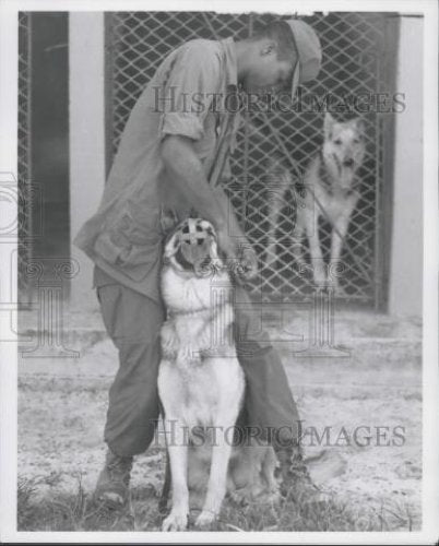 1968 Press Photo The USARV Dog Training Detachment PFC Raymond N. Kuma - Historic Images