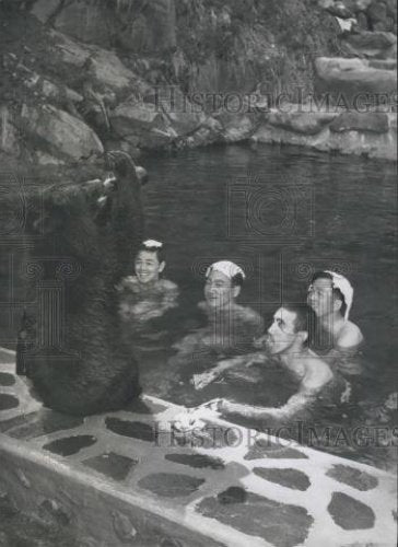 Press Photo Japanese bathers watch one of the brown bears taking a swig of beer - Historic Images