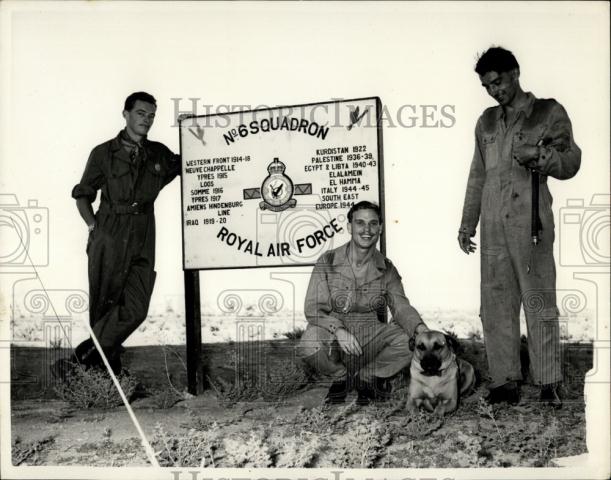 Press Photo Rusty Eight Year Old Rhodesian Mascot For No. 6 Squadron - Historic Images