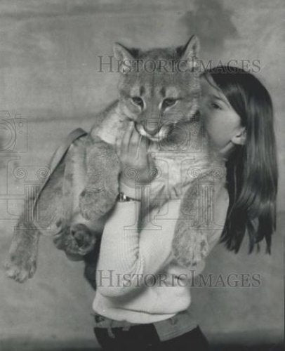 Press Photo Sheba 6 Month Old Puma Lives With Hurst Family - Historic Images