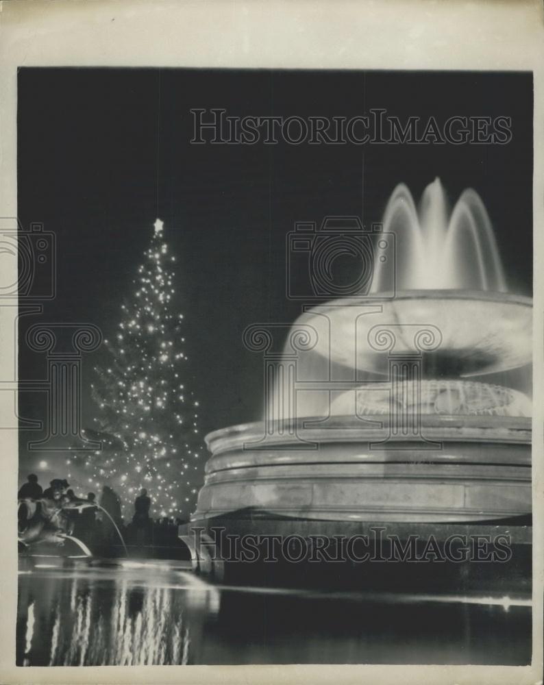 1961 Press Photo Oslo Christmas Tree Lit up in Trafalgar Square - Historic Images