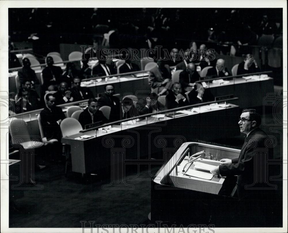 1964 Press Photo 19th UN General Assembly Continues - Historic Images