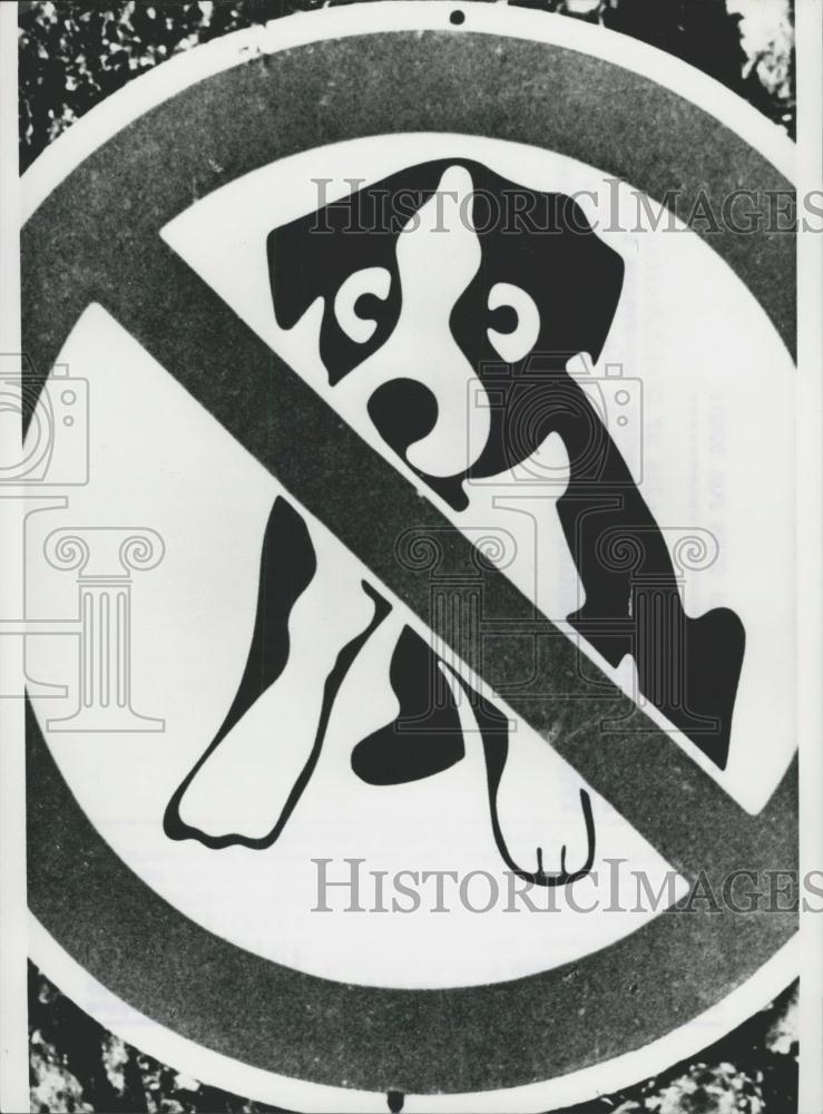 Press Photo a no parking&quot; sign with a dog painted on it!&quot; - Historic Images