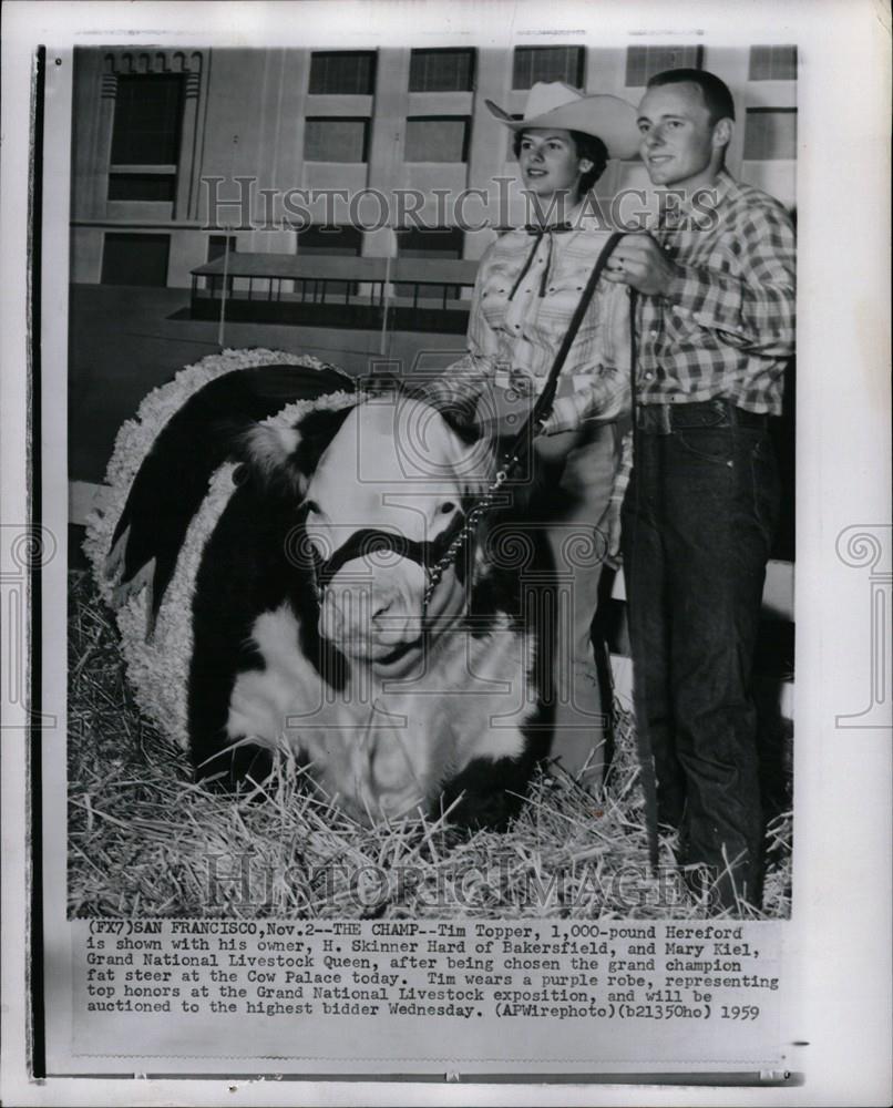 1959 Press Photo Tim Topper 1000-pound Hereford cattle - Historic Images