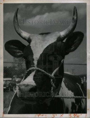 1959 Press Photo Michigan State Fair - Historic Images