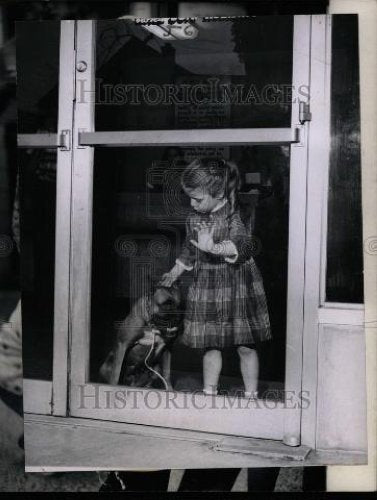 1963 Press Photo Mary Sowards Dog Michigan Humane Party - Historic Images