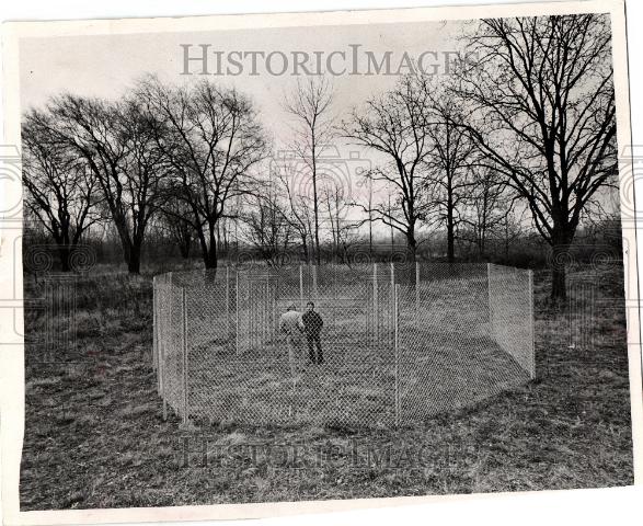 1974 Press Photo Metropolitan Airport deer humans - Historic Images