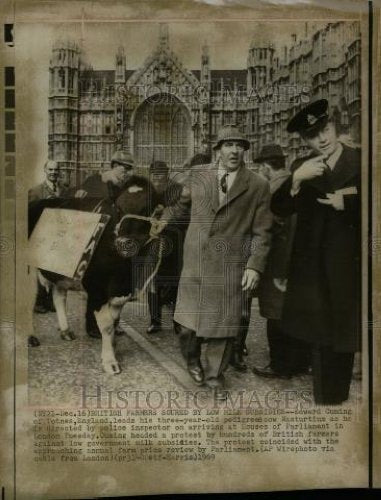 1969 Press Photo Edward Cuming cows London protest milk - Historic Images