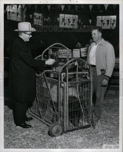 1964 Press Photo Pat Brown Dick Wooden Hog Michigan - Historic Images