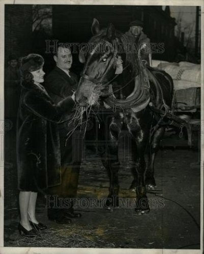 1940 Press Photo Michigan Humane Society horse snacking - Historic Images