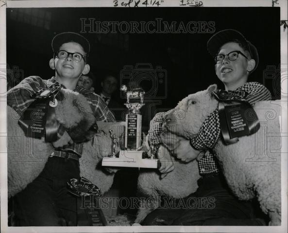 1953 Press Photo Leslie &amp; Arthur Severance livestock 4H - Historic Images