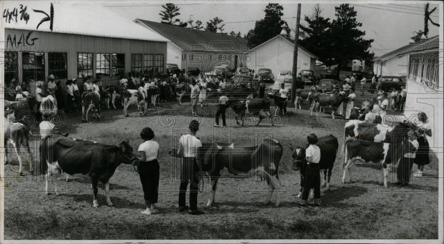 1956 Press Photo Michigan State Fair Detroit - Historic Images