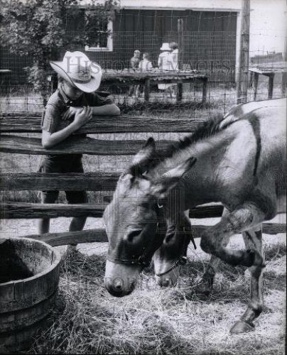 1963 Press Photo Bryce Peters cowpoke mount - Historic Images