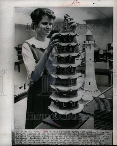 1966 Press Photo Michigan School for the Blind library - Historic Images