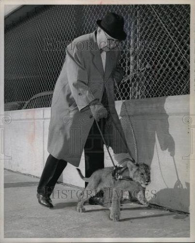 1966 Press Photo Lion Louie Callahan Detroit Lions Club - Historic Images