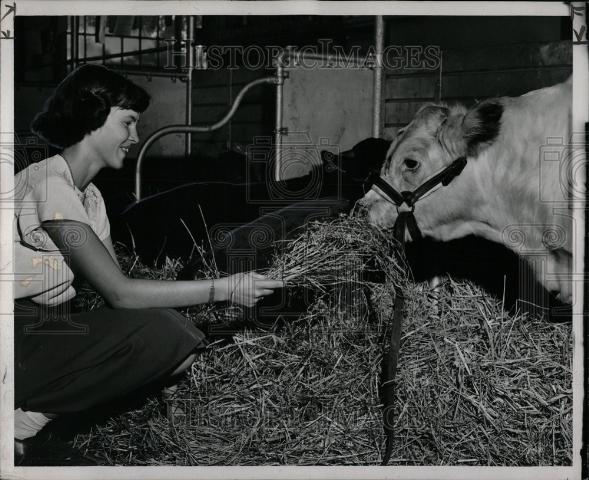 1950 Press Photo Michigan State Fair grounds Detroit - Historic Images